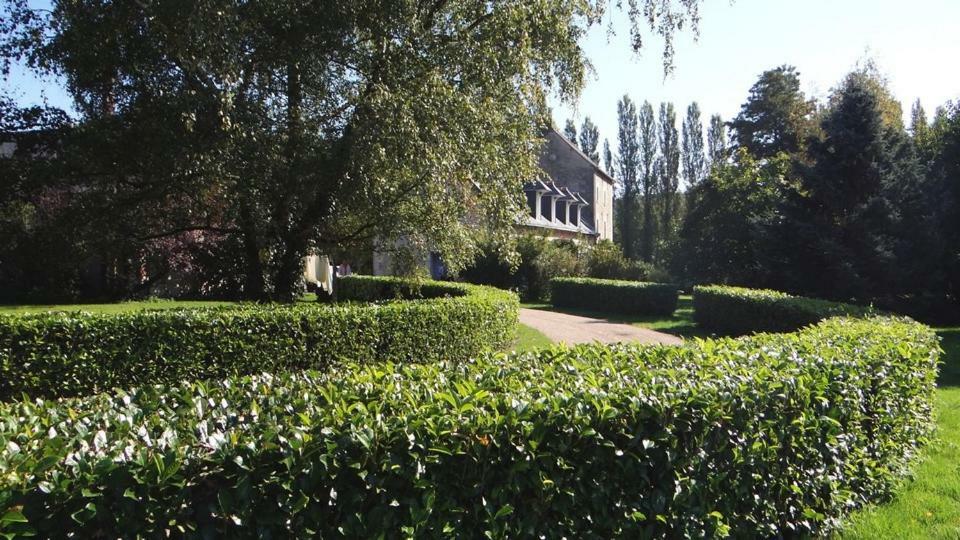 Le Moulin De Chareau Bed & Breakfast Reugny  ภายนอก รูปภาพ